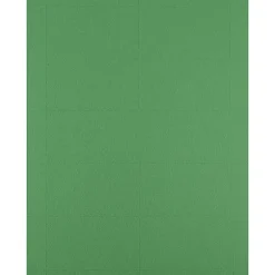 Outlet ® Printable Business Cards, 3 1/2 x 2, Green, 100/Pack (22128335) Business Cards