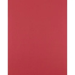 Online ® Printable Business Cards, 3 1/2 x 2, Red, 100/Pack (22128334) Business Cards