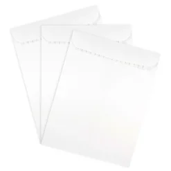 JAM Paper Self Seal Catalog Envelope, 9