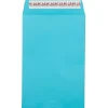 JAM Paper Self Seal Catalog Envelope, 6" x 9", Blue, 25/Pack (187947509)* Catalog