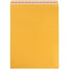 JAM Paper Self Seal Catalog Envelope, 11 1/2" x 14 1/2", Brown Kraft Manila, 100/Pack (13034235D)* Catalog