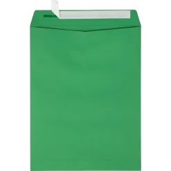 JAM Paper Self Seal Catalog Envelope, 9" x 12", Holiday Green, 500/Pack (FE-7280-12-500)* Catalog