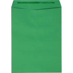 JAM Paper Self Seal Catalog Envelope, 9
