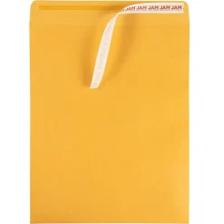 JAM Paper Self Seal Catalog Envelope 11 1/2