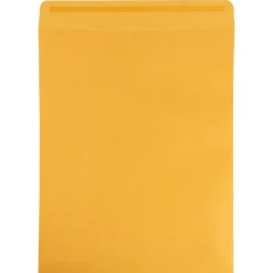 JAM Paper Self Seal Catalog Envelope 11 1/2