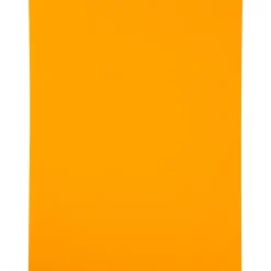 JAM Paper Shipping Labels, 8 1/2