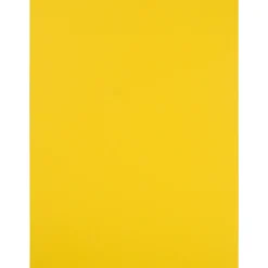 JAM Paper Shipping Labels, 8 1/2