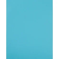 JAM Paper Shipping Labels, 8 1/2