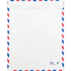 JAM Paper Tear-Proof Tyvek Open End Catalog Envelopes, 9" x 12", White Airmail, 10/Pack (2131102A)* Catalog