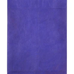 JAM Paper Tyvek Open End Open End #13 Catalog Envelope, 10" x 13", Blue, 10/Pack (V021377B)* Catalog