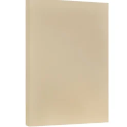 Vellum Bristol Cardstock Paper, 67 lbs., 11" x 17", Tan, 50 Sheets/Pack (16932840) Card Stock