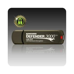 Kanguru Defender 3000 512GB USB 3.2 Flash Drive, Gold (KDF3000-512G)* Usb Flash Drives