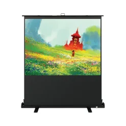 Projector Screens<Kodak 60" Portable Manual Floor Projector Screen, Matte White/Black (RODPJSPFU60)