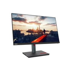 Lenovo {{label}}* Flat Monitors