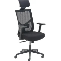 Clearance Ergonomic Mesh Swivel Task Chair, (60021) Ergonomic Chairs