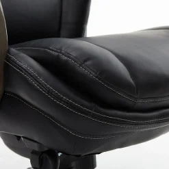 Sale Harnett Ergonomic Faux Leather Swivel Executive Chair, Black (46253A) Office Chairs