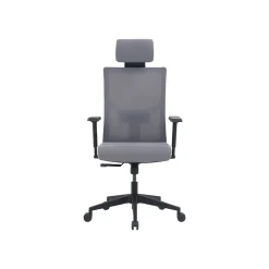 New Mesh Back Molded Foam Computer and Desk Chair, Gray (51448) Ergonomic Chairs