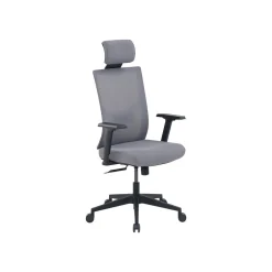New Mesh Back Molded Foam Computer and Desk Chair, Gray (51448) Ergonomic Chairs