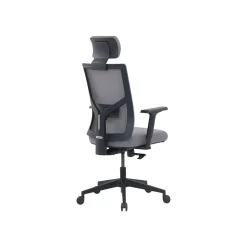 New Mesh Back Molded Foam Computer and Desk Chair, Gray (51448) Ergonomic Chairs
