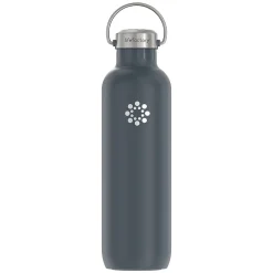 Water Bottles<Lifefactory Stainless Steel Double Wall Insulated Water Bottle, 32 oz., Carbon (LIFLS365MCN4)