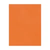 Outlet 100 lb. Cardstock Paper, 8.5" x 11", Mandarin, 50 Sheets/Pack (81211-C-55-50) Card Stock
