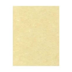 Outlet 65 lb. Cardstock Paper, 8.5" x 11", Gold Parchment, 50 Sheets/Pack (81211-C-41-50) Card Stock