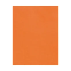 New 100 lb. Cardstock Paper, 13" x 19", Mandarin, 250 Sheets/Pack (1319-C-11-250) Card Stock
