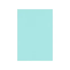 Best 100 lb. Cardstock Paper, 13" x 19", Sea, 250 Sheets/Pack (1319-C-113-250) Card Stock