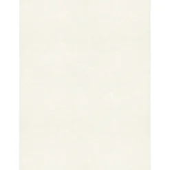 Sale 105 lb. Cardstock Paper, 8.5" x 11", Quartz Metallic, 1000 Sheets/Pack (81211-C-72-1000) Card Stock