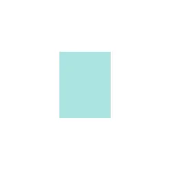 Best 100 lb. Cardstock Paper, 11" x 17", Seafoam, 500 Sheets/Pack (1117-C-113-500) Card Stock