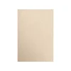 Best 105 lb. Cardstock Paper, 13" x 19", Taupe Metallic, 500 Sheets/Pack (1319-C-M09-500) Card Stock