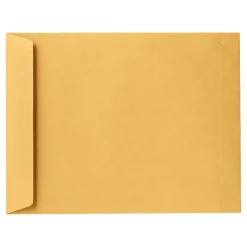 LUX 11 x 17 Kraft Jumbo Envelopes 50/Pack, 28lb. Brown Kraft (83478-50)* Catalog