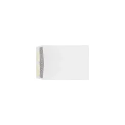 LUX 9 x 12 Kraft Open End Envelopes 250/Box, 28lb. White w/ Security Tint (WS-4894-ST-250)* Catalog