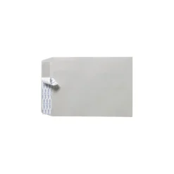 LUX 10 x 13 Kraft Open End Envelopes 50/Pack, Gray Kraft w/ Peel & Seel (75530-50)* Catalog