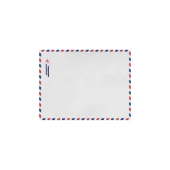 LUX 6 x 9 Kraft Open End Envelopes (6 x 9) - Airmail - Pack of 50 (2444794)* Catalog