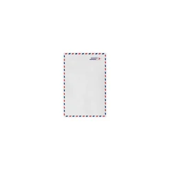 LUX 9 x 12 Open End Envelopes (9 x 12) - Airmail - Pack of 50 (2444749)* Catalog