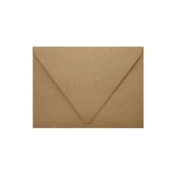 LUX Contour Flap Grocery Bag A6 1000/Pack* Security Tinted