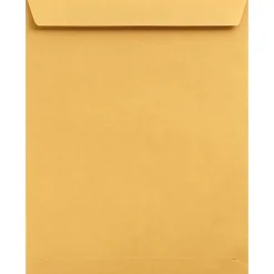LUX Jumbo Kraft Envelope 13 x 19 inch Brown Kraft 50/Pack (22663-50)* Catalog