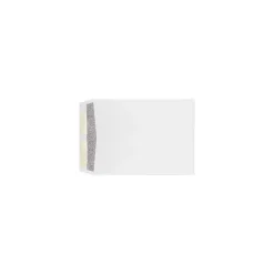 LUX Kraft Open End Envelopes with Security Tint, 9" x 12", White, 500/Pack (WS-4894-ST-500)* Catalog
