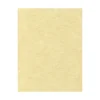 Online Parchment 65 lb. Cardstock Paper, 8.5" x 11", Gold Parchment, 1000 Sheets/Pack (81211-C-41-1000) Card Stock