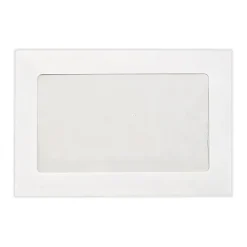 LUX Self Seal Window Envelope, 6" x 9", Bright White, 1000/Pack (FFW-69-1000)* Window