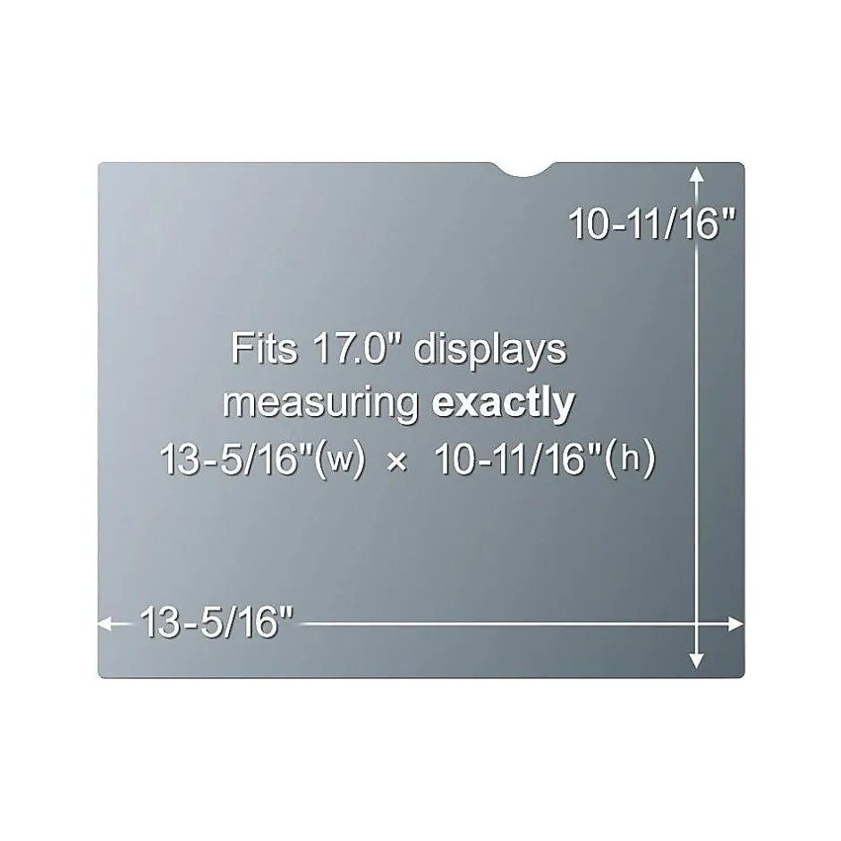 3M ™ Anti-Glare Filter for 19.5" Widescreen Monitor (16:9) (AG195W9B)