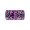Medical Arts Press Holographic End-Tab Year Labels, 2024, Violet, 500/Roll (0724HV) Online
