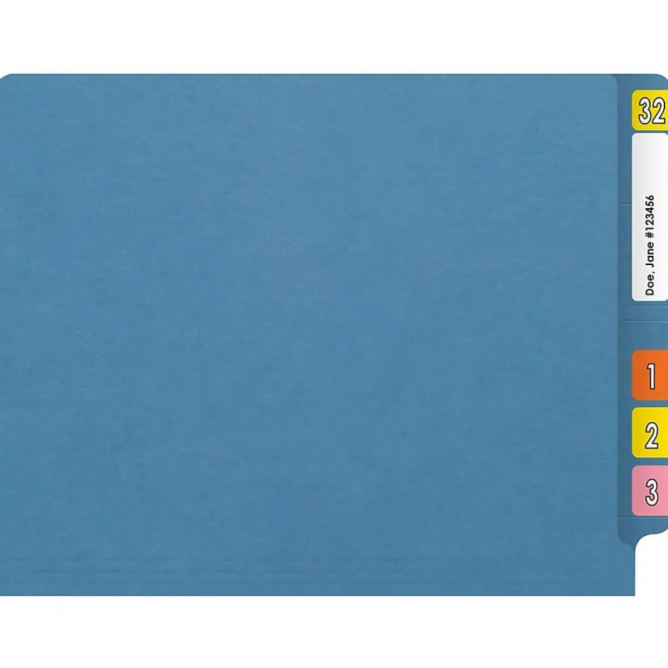 Medical Arts Press Reinforced End Tab File Folder, Straight Cut, Letter-Size, Blue, 250/Carton (S-01602-BLU-B) Discount