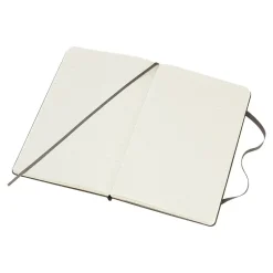 Moleskine Classic Professional Notebooks, 5