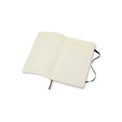 Moleskine Professional Notebooks, 5