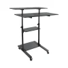 New Mount-lt! 37"-55" Adjustable Monitor Rolling Stand up Desk, Black (MI-7970B) Standing Desks