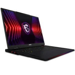 MSI Raider 18 HX 18" UHD+ 120Hz Gaming Laptop, Intel Core i9-14900HX, RTX 4080, 128GB RAM, 2TB SSD, Win 11 Pro (A14VHG-258US)* Gaming Laptops