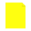 Best Astrobrights 65 lb. Cover Paper, 11" x 17", Lift Off Lemon, 1000 Sheets/Carton (21022W) Card Stock
