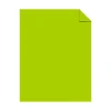 New Astrobrights 100 lb. Cover Paper, 12" x 18", Terra Green, 500 Sheets/Case (45293N) Card Stock